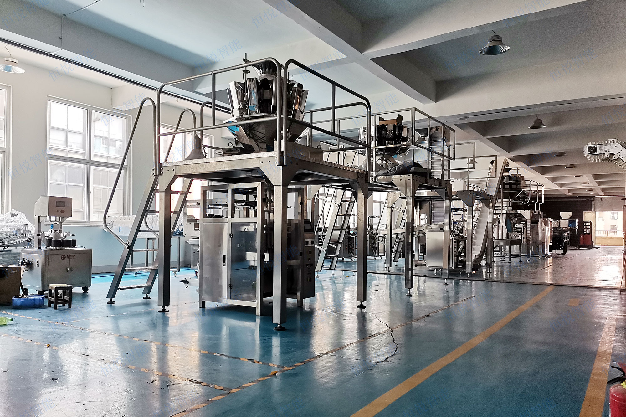 高精度电子秤定量颗粒自动包装机